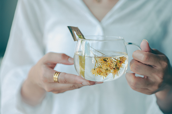 サムネイル：森から生まれる文化とものづくり